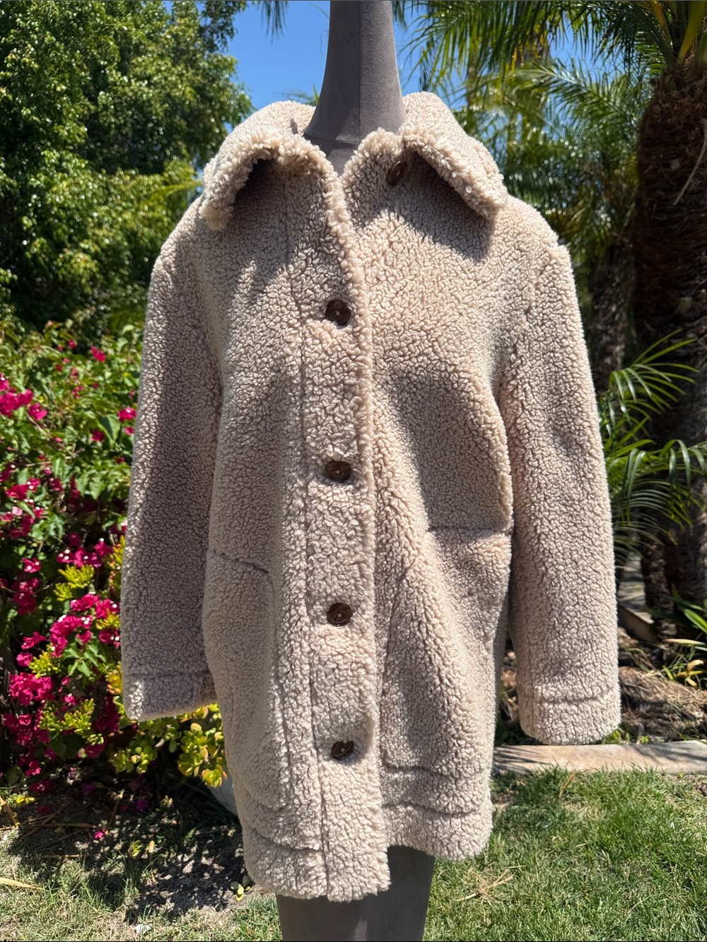 NWT S Wilfred Beige Teddy Sherpa Coat